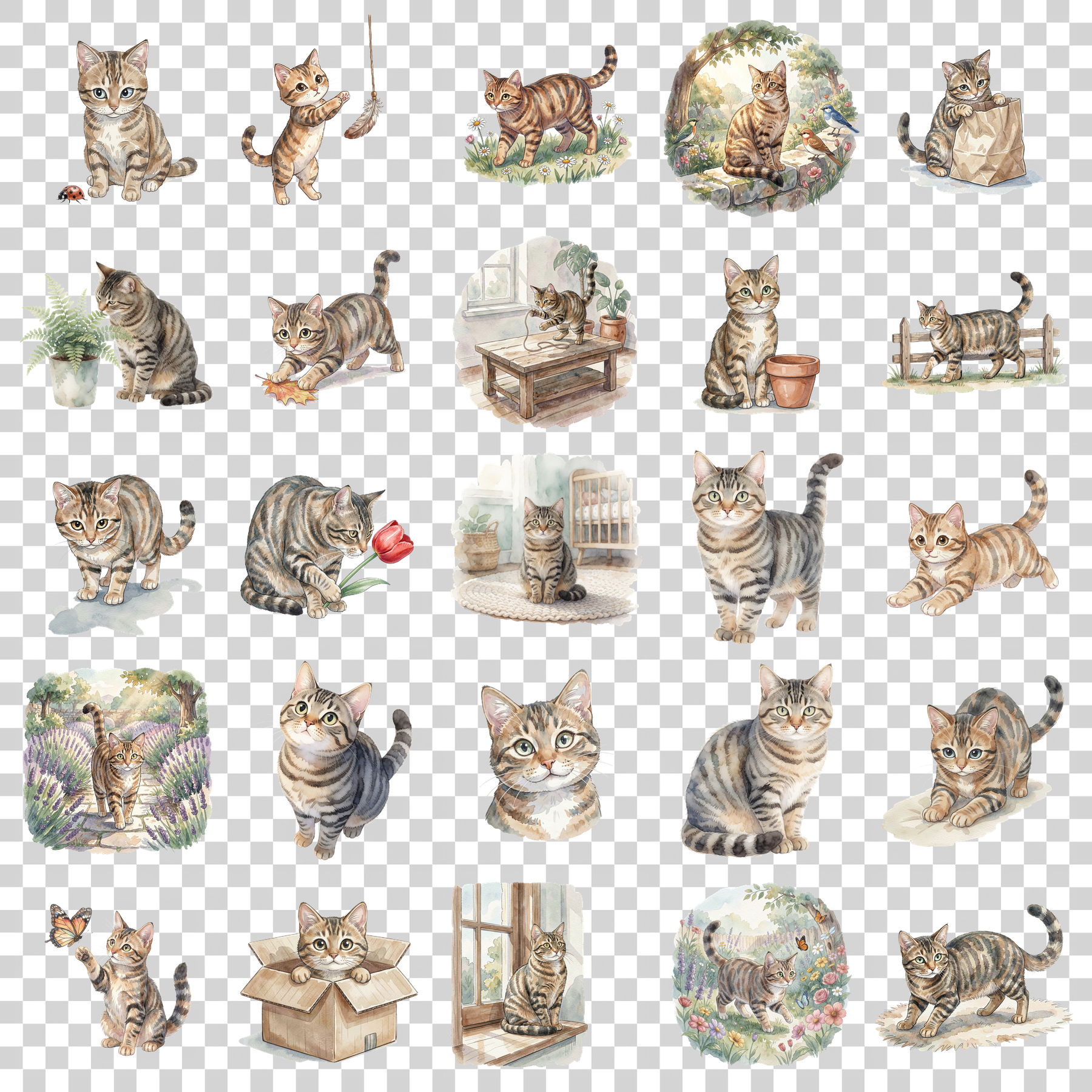 getigerte-katze-transparent.png