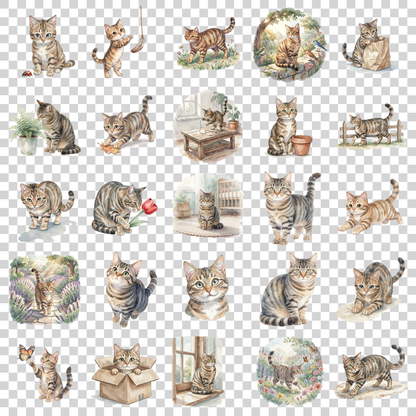 getigerte-katze-transparent.png