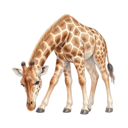 giraffe-einzel-1.png