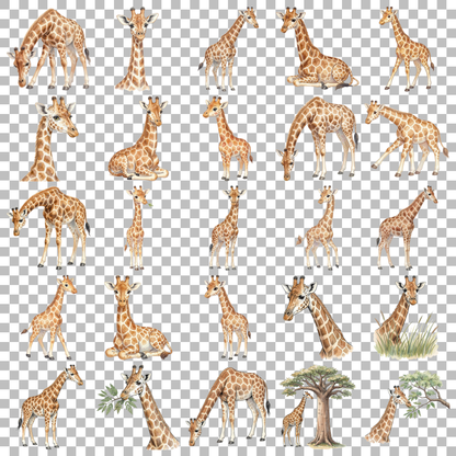 giraffe-transparent.png