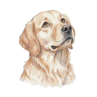 golden-retriever-einzel-2.png