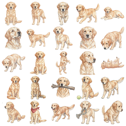 golden-retriever-titelbild.png