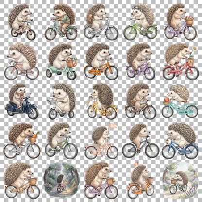 igel-auf-fahrrad-transparent.png