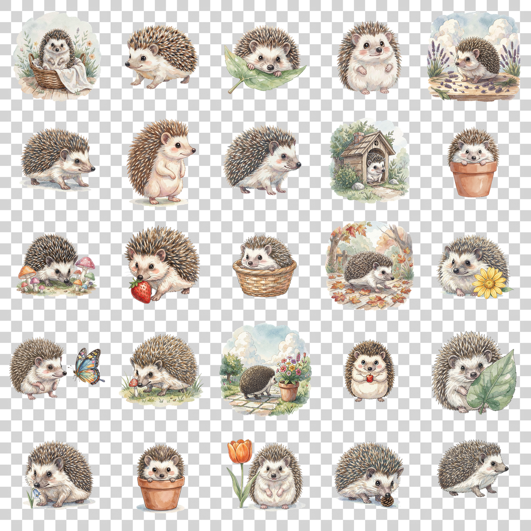 igel-haustier-transparent.png