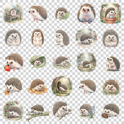 igel-transparent.png