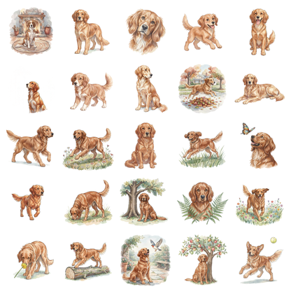 irish-setter-titelbild.png