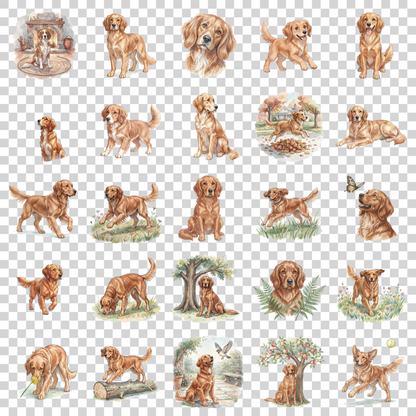 irish-setter-transparent.png
