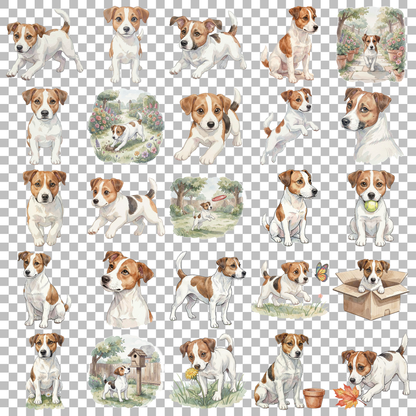 jack-russell-terrier-transparent.png