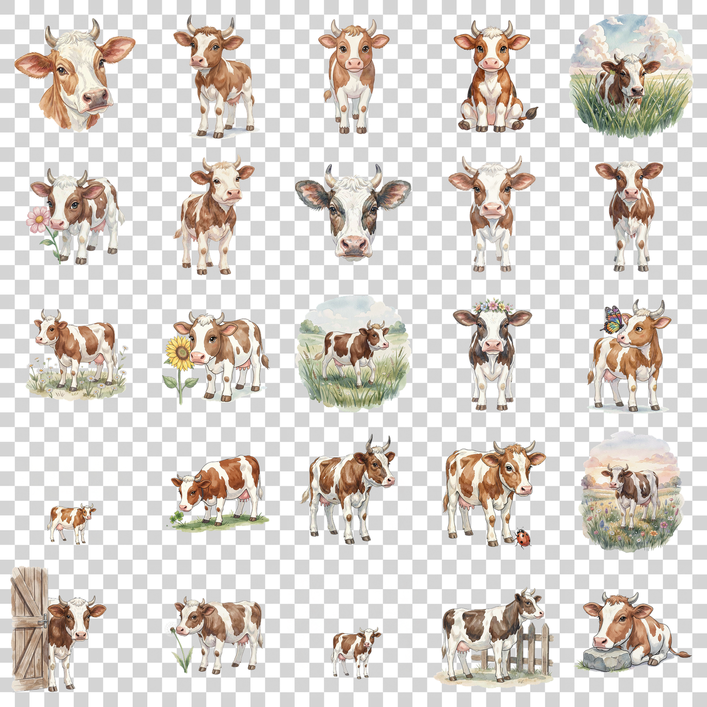 kalb-transparent.png