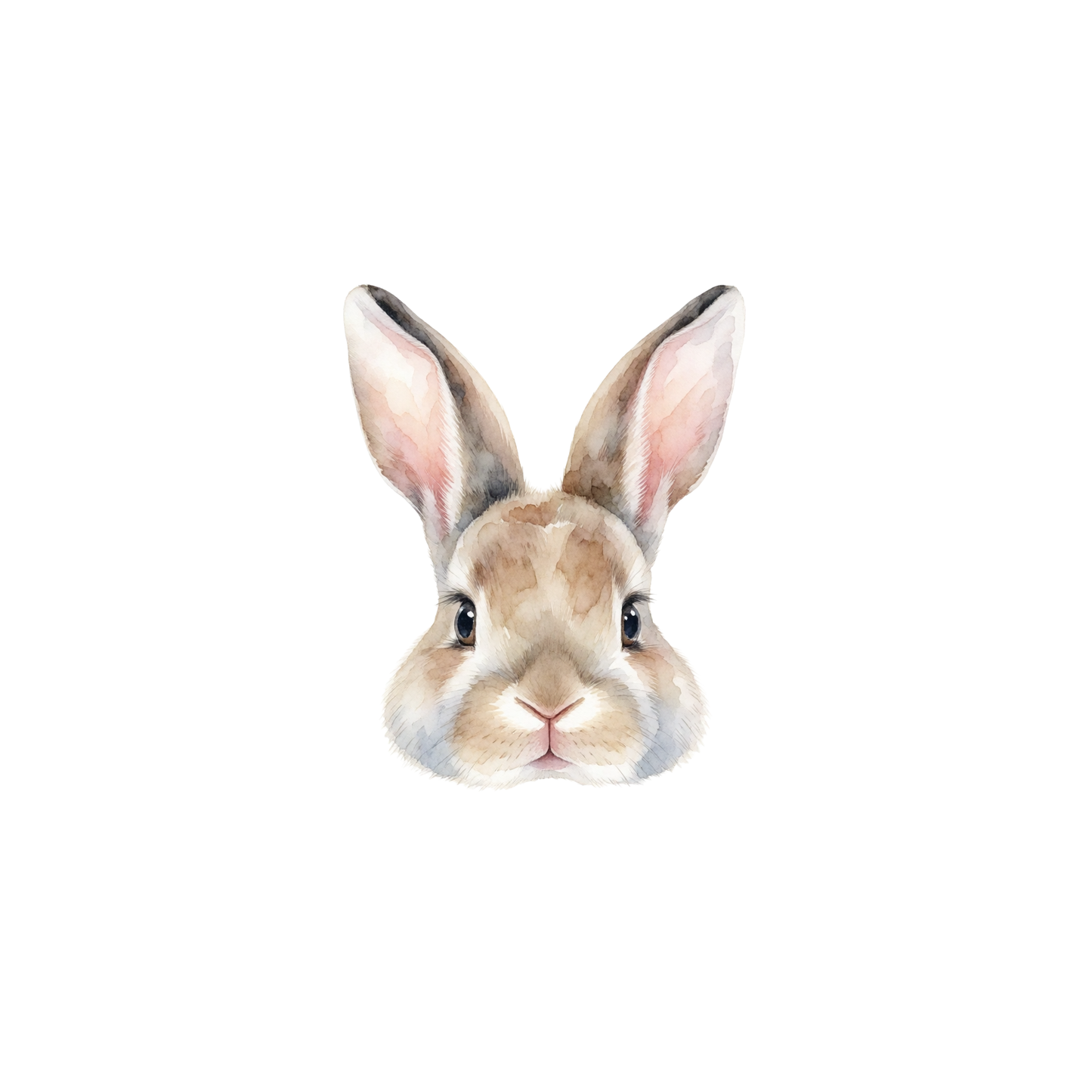 kaninchen-einzel-1.png