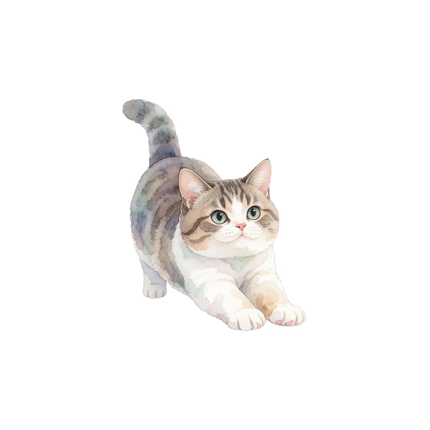 katze-einzel-1.png