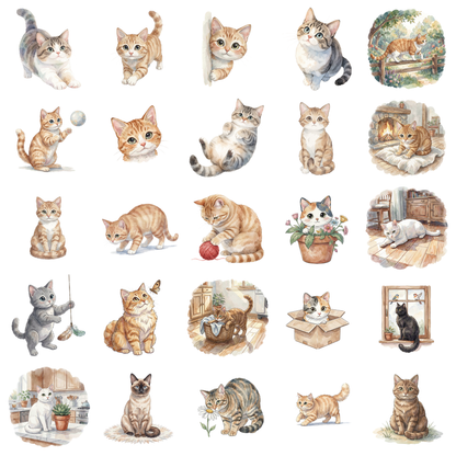 katze-titelbild.png