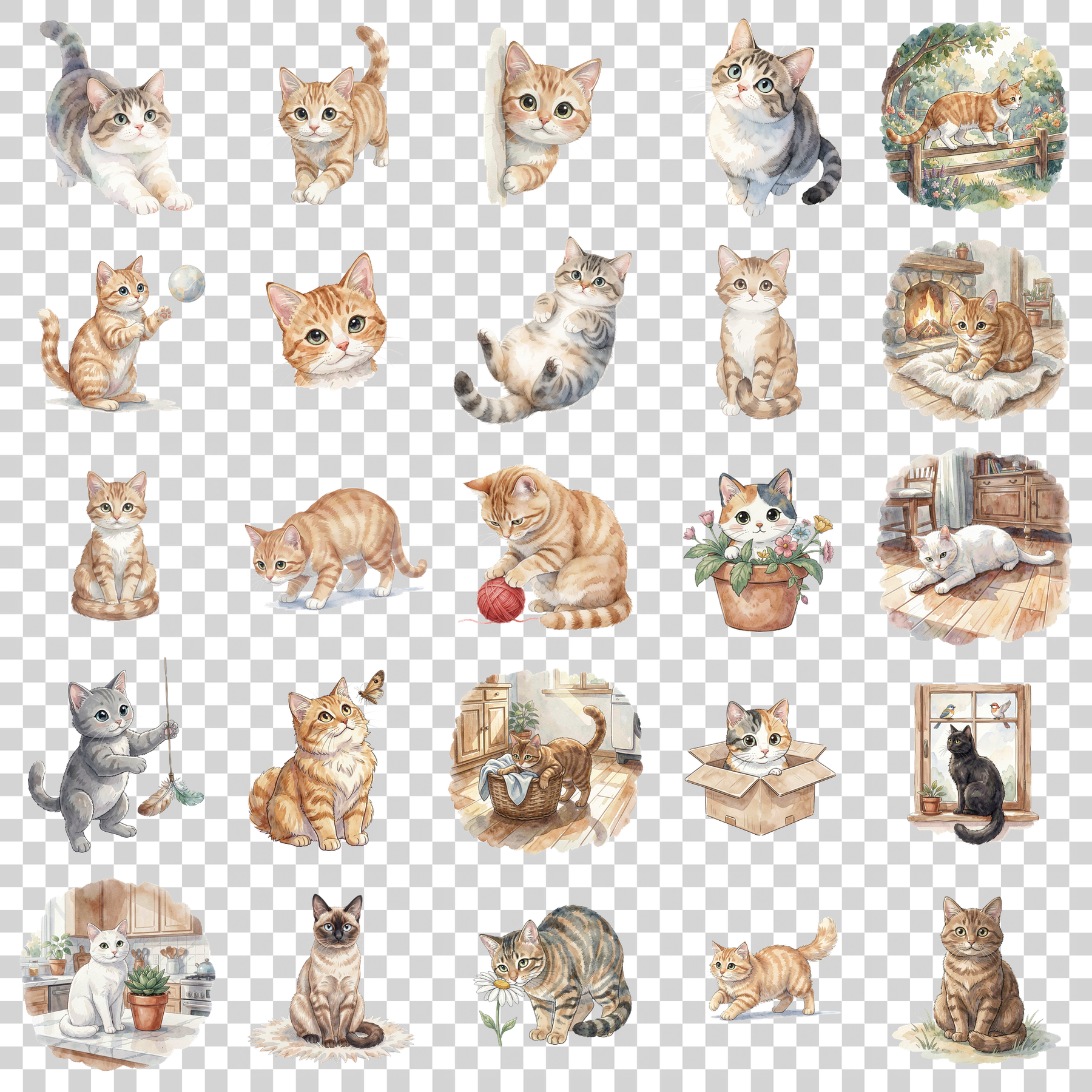 katze-transparent.png