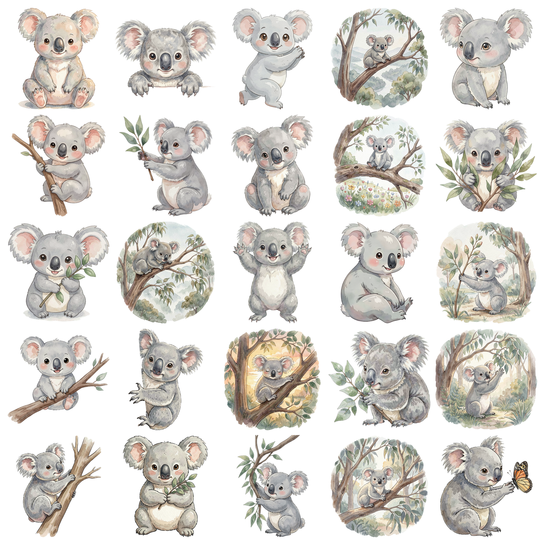 koala-titelbild.png