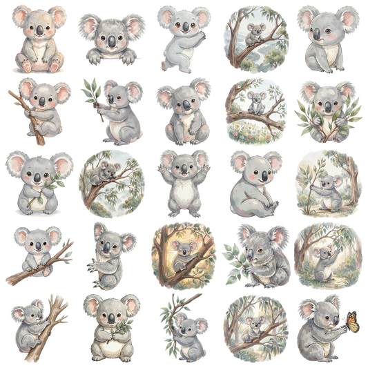 koala-titelbild.png