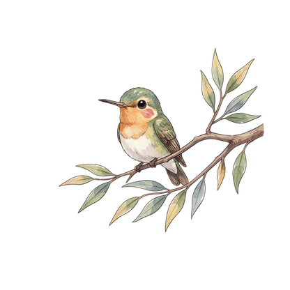 kolibri-einzel-5.png