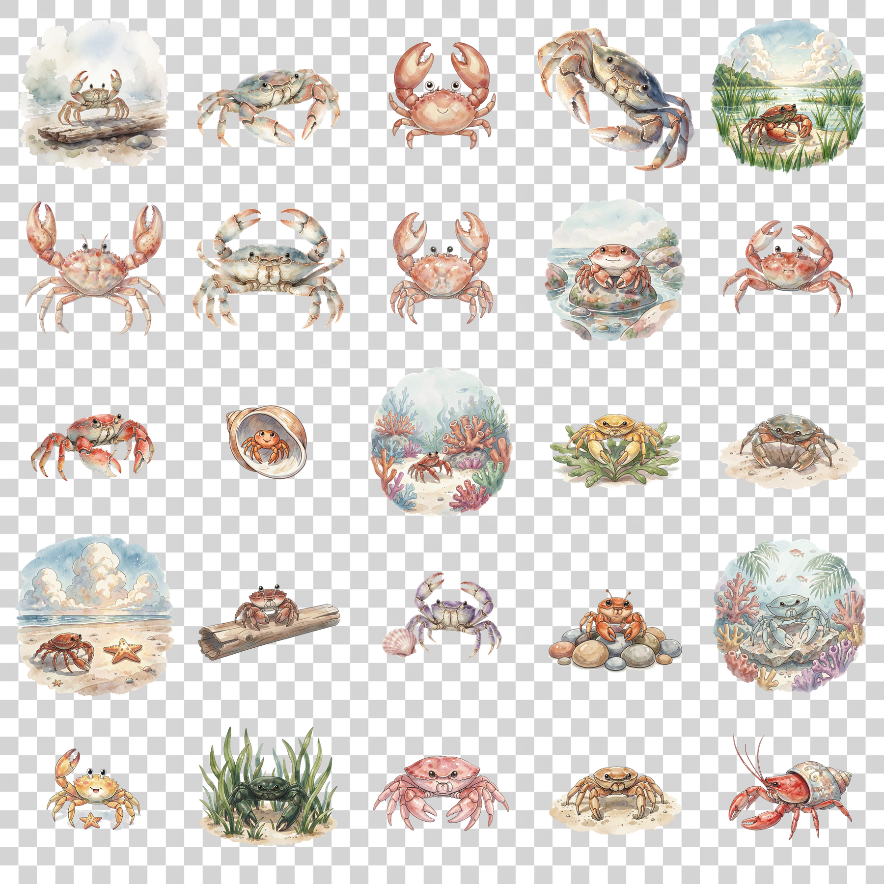 krabbe-transparent.png