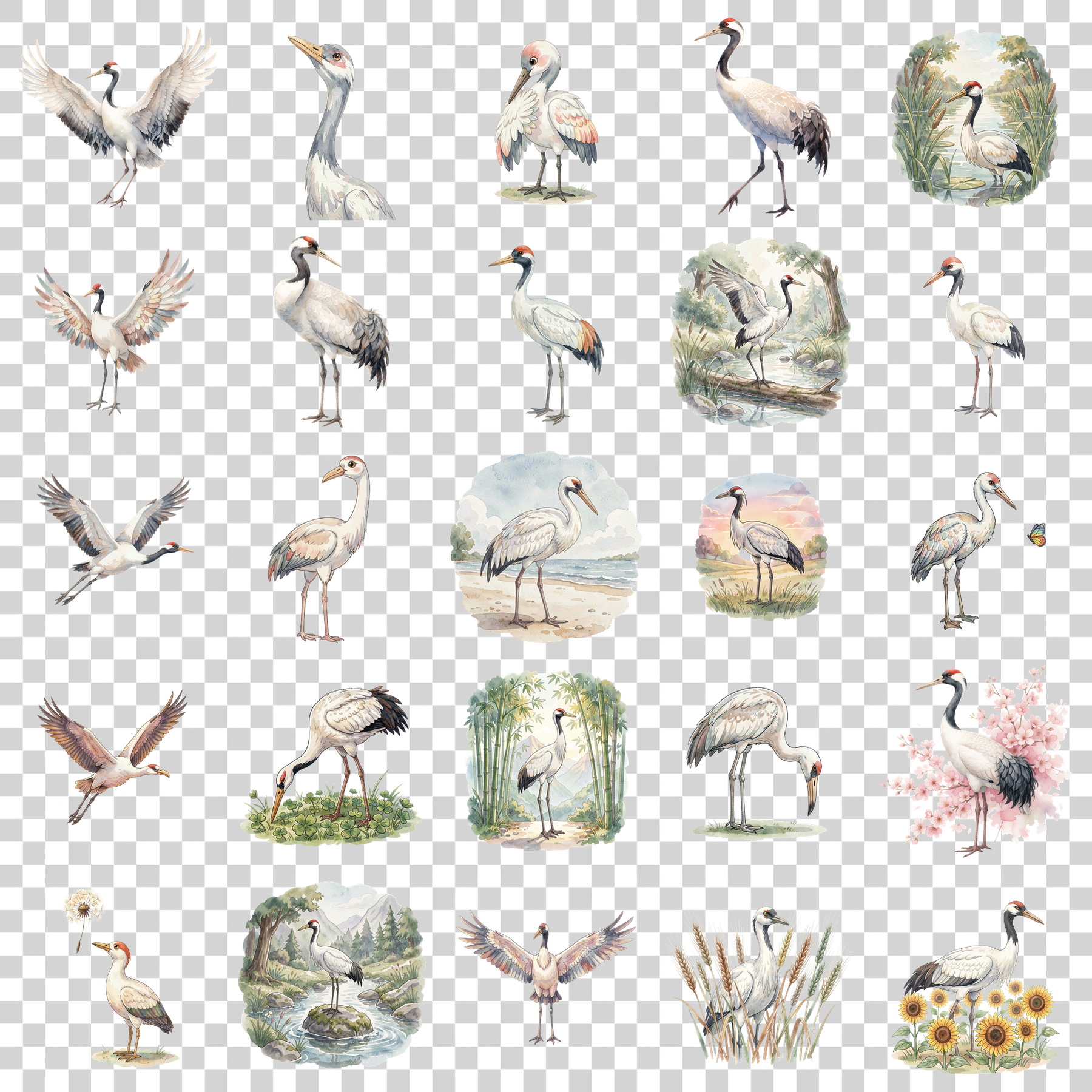 kranich-transparent.png