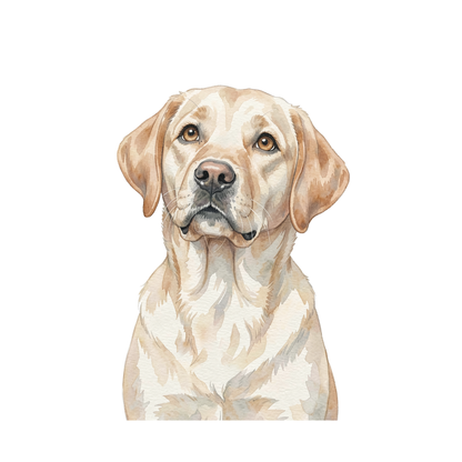 labrador-einzel-2.png