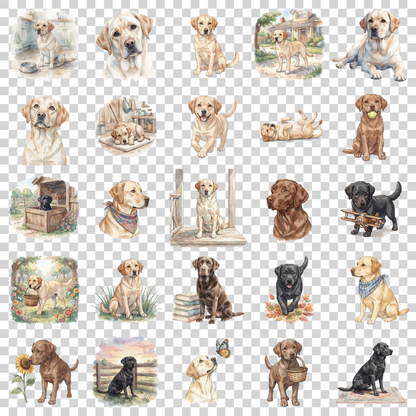 labrador-transparent.png