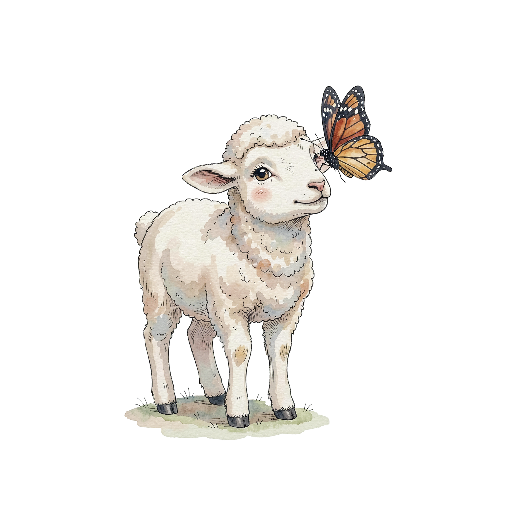 lamm-einzel-4.png