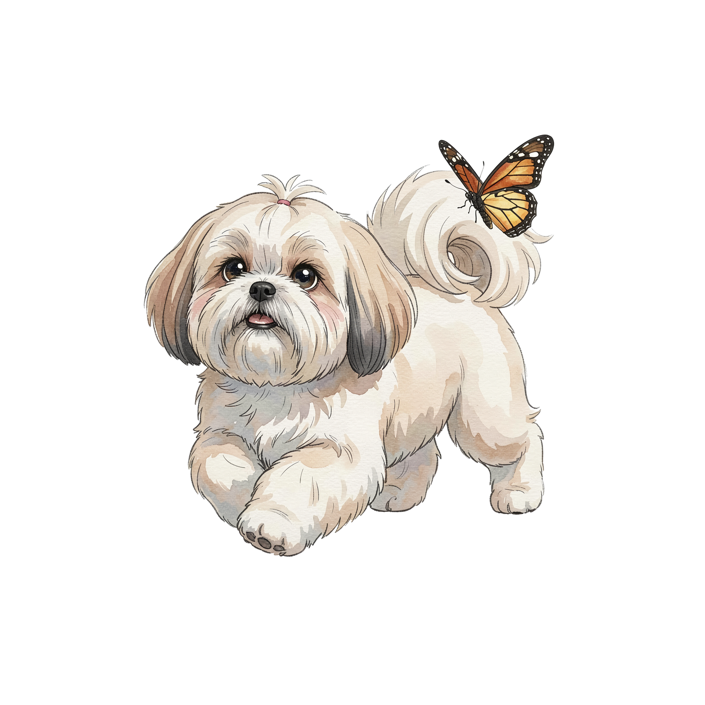 lhasa-apso-einzel-4.png