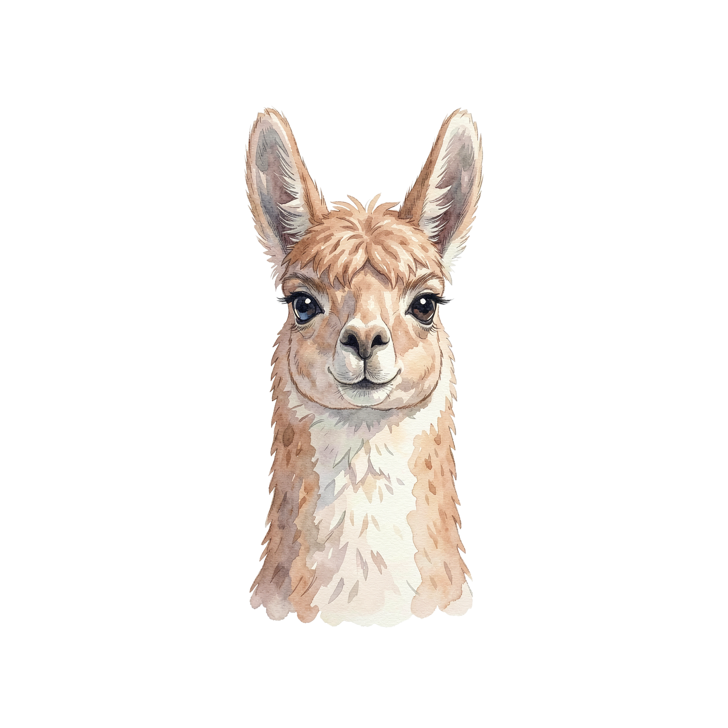 llama-einzel-2.png