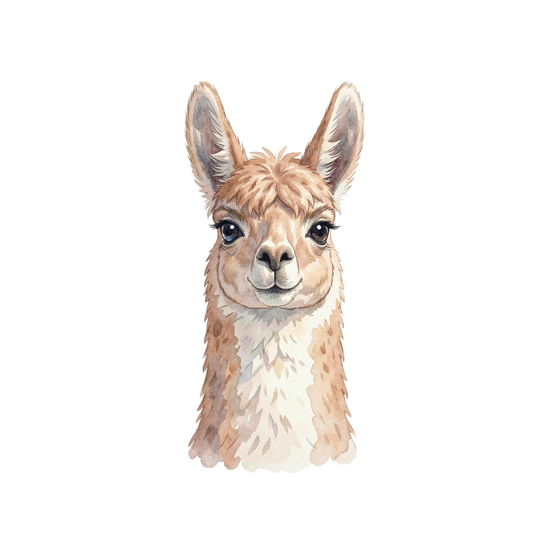 llama-einzel-2.png