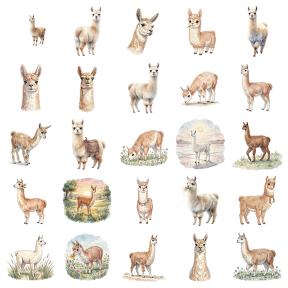 llama-titelbild.png