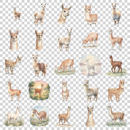 llama-transparent.png