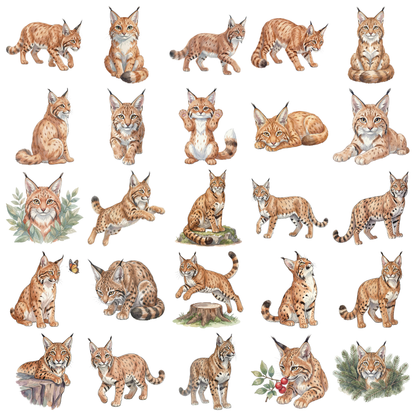 luchs-titelbild.png