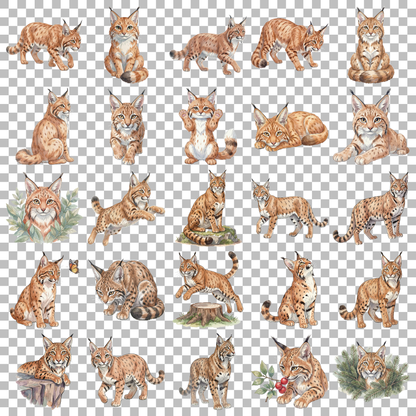 luchs-transparent.png