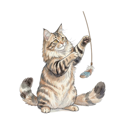maine-coon-einzel-4.png