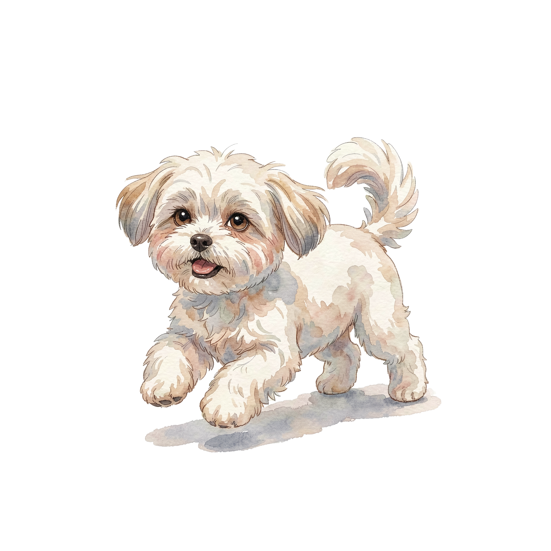 malteser-hund-einzel-2.png
