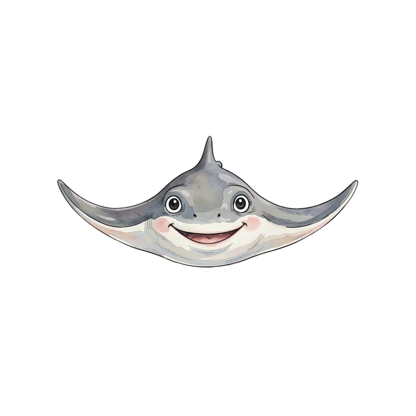 manta-rochen-einzel-3.png