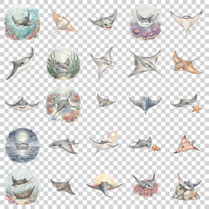 manta-rochen-transparent.png