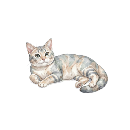 manx-katze-einzel-3.png
