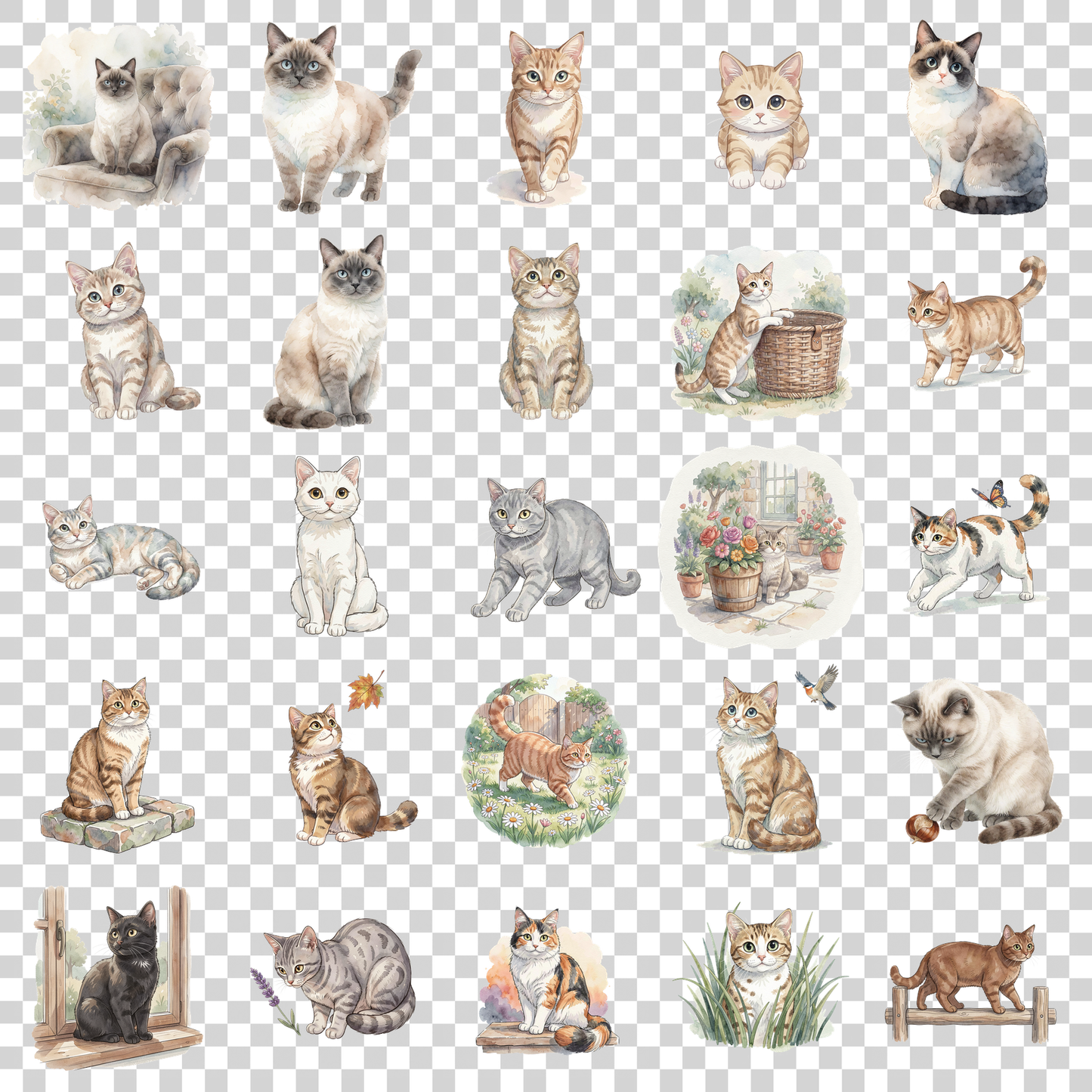 manx-katze-transparent.png