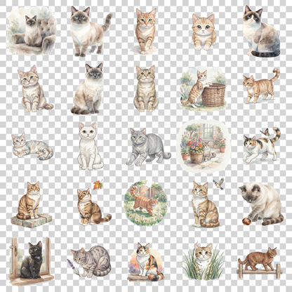 manx-katze-transparent.png