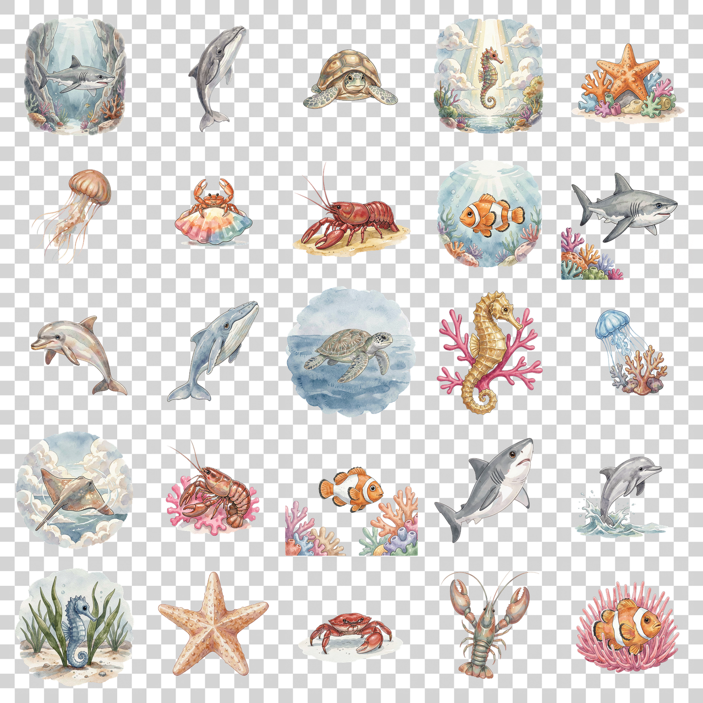 meeres-tiere-transparent.png