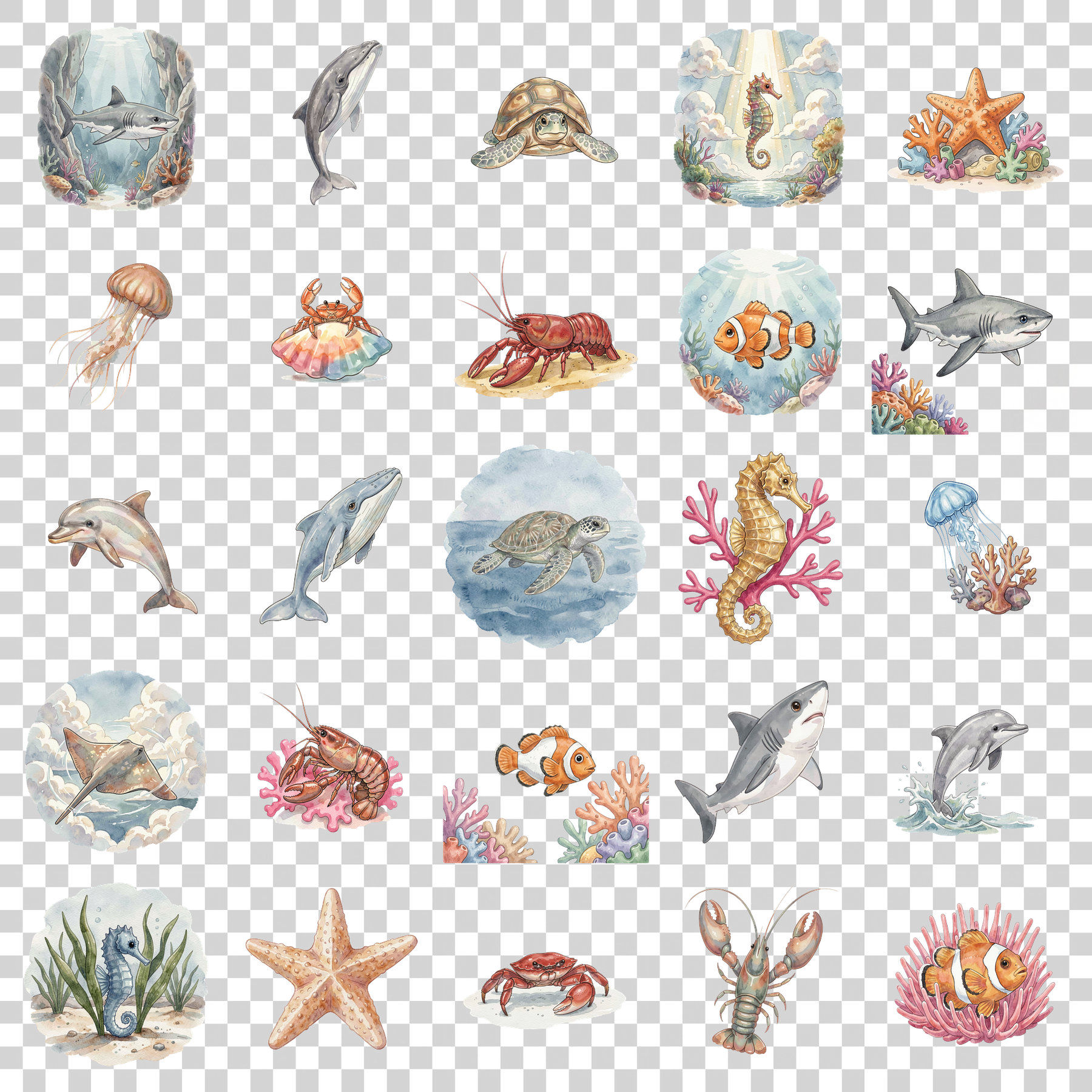 meeres-tiere-transparent.png