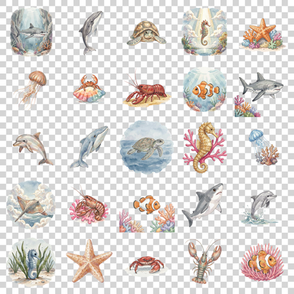 meeres-tiere-transparent.png