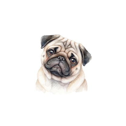 mops-einzel-1.png