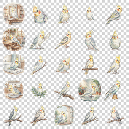 nackensittich-transparent.png