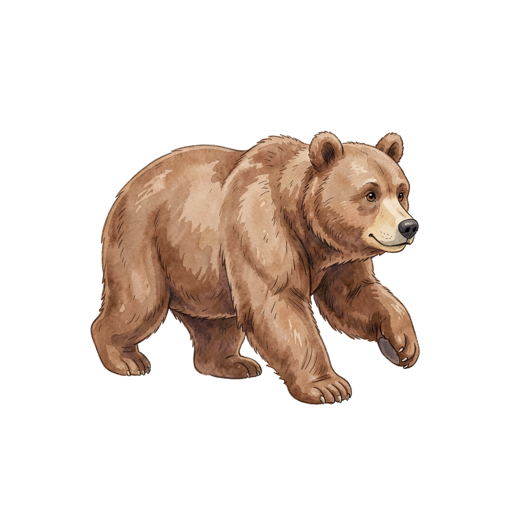nordamerikanische-wildtiere-einzel-1.png
