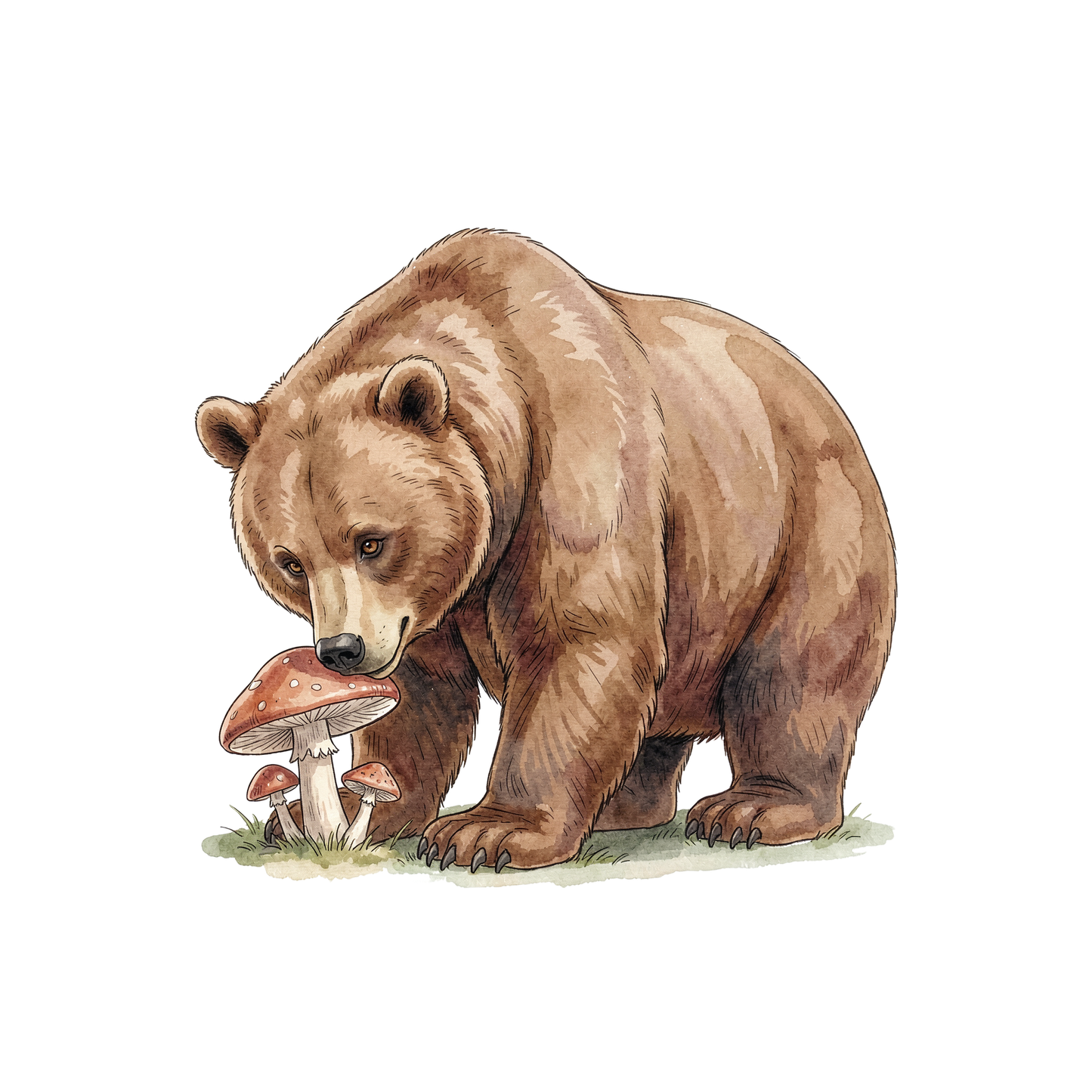 nordamerikanische-wildtiere-einzel-3.png