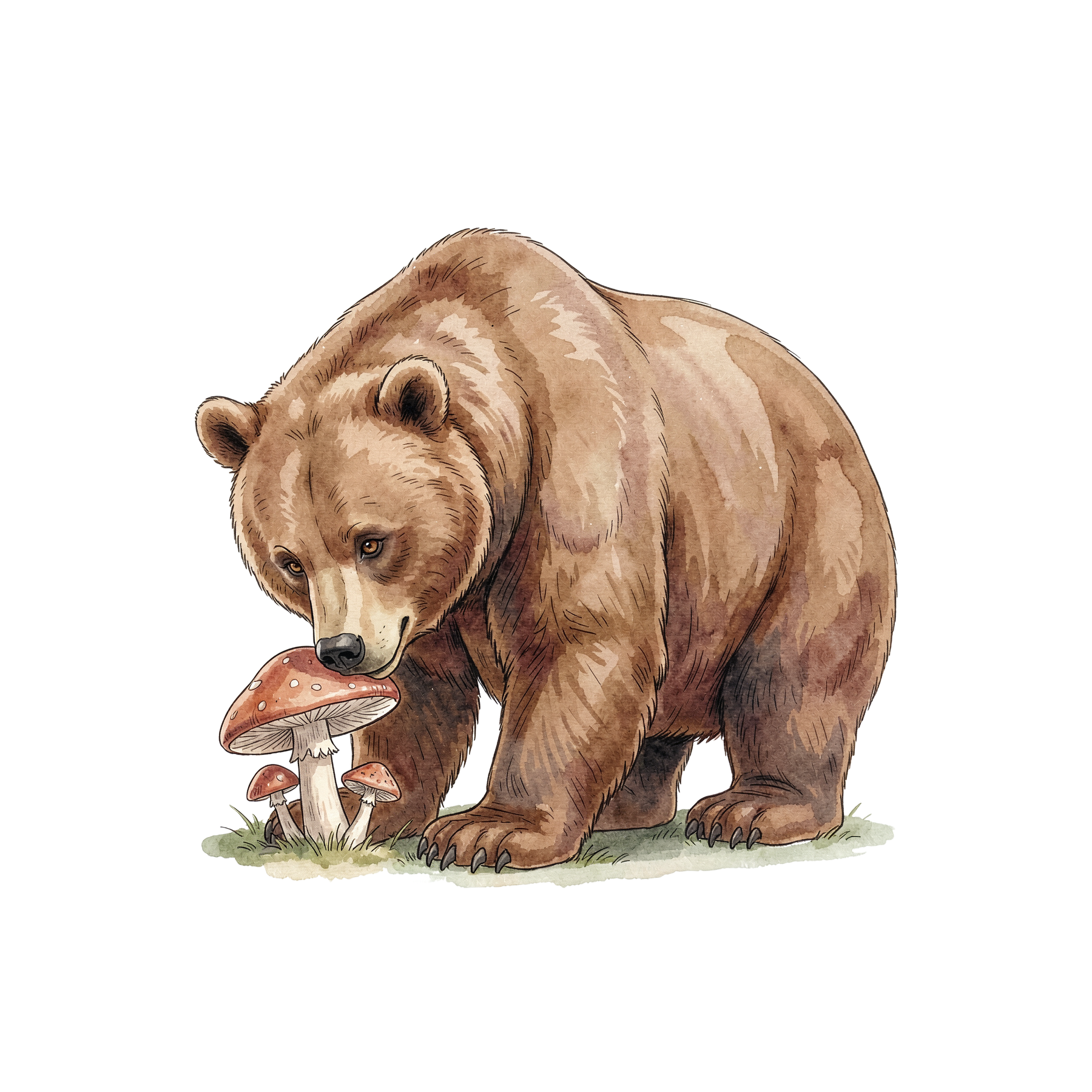 nordamerikanische-wildtiere-einzel-3.png