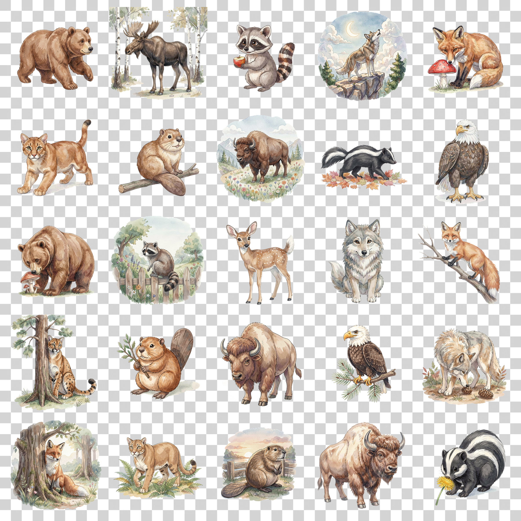 nordamerikanische-wildtiere-transparent.png