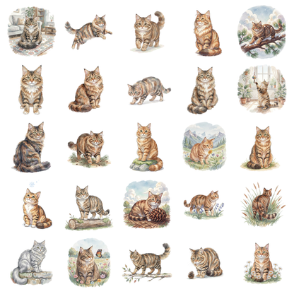 norwegische-waldkatze-titelbild.png