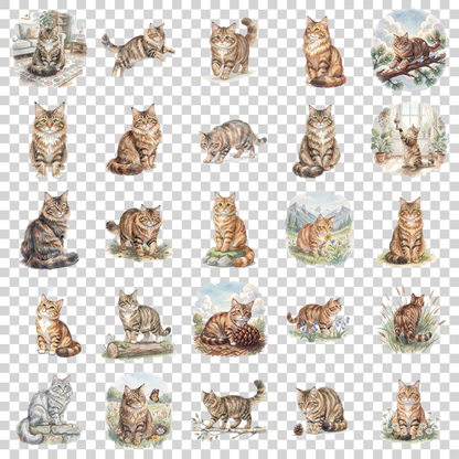 norwegische-waldkatze-transparent.png